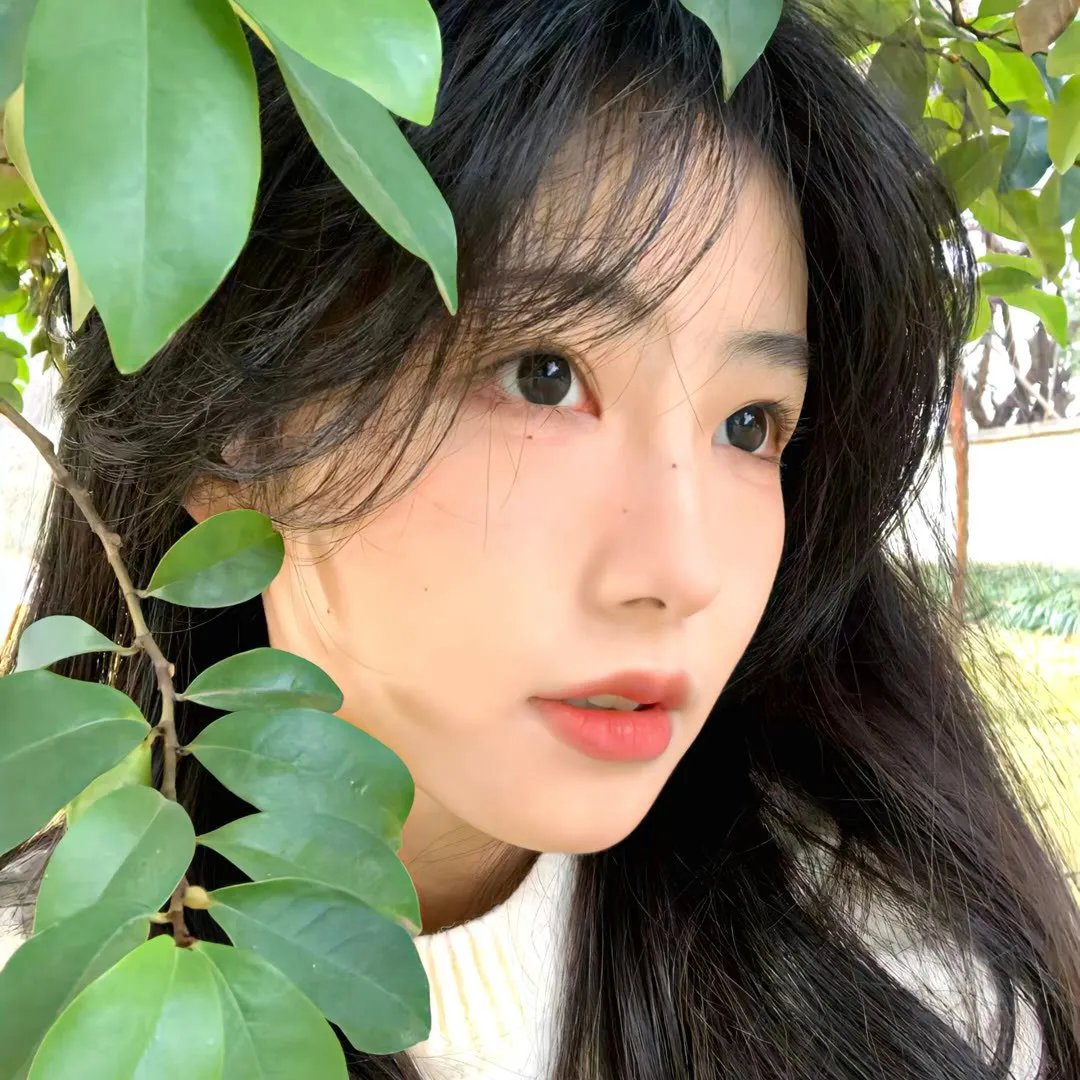 虎将艳后 封面